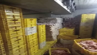 2025 12 12 15 1 8 930.webp