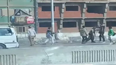 2025 12 12 16 52 29 694.webp