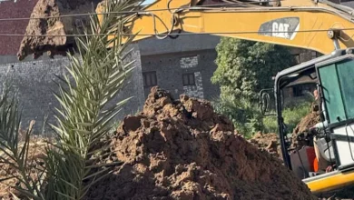 2025 12 13 0 9 43 700.webp