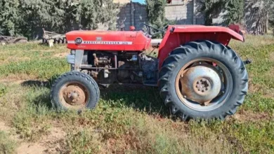 2025 12 13 10 23 17 309.webp