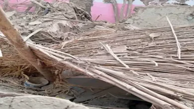 2025 12 13 10 32 5 336.webp