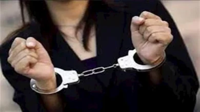 2025 12 13 12 29 23 296.webp