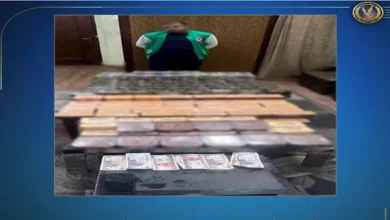 2025 12 13 12 40 50 852.webp