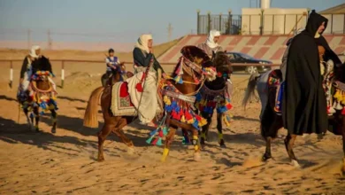 2025 12 13 15 12 37 879.webp