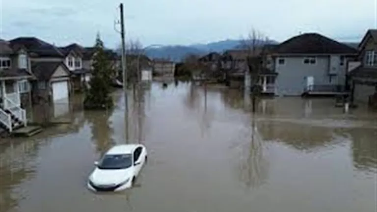 2025 12 13 16 46 34 842.webp