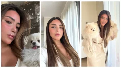 2025 12 13 21 6 7 564.webp