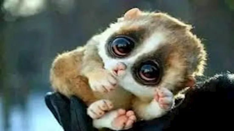 2025 12 13 9 47 5 877.webp