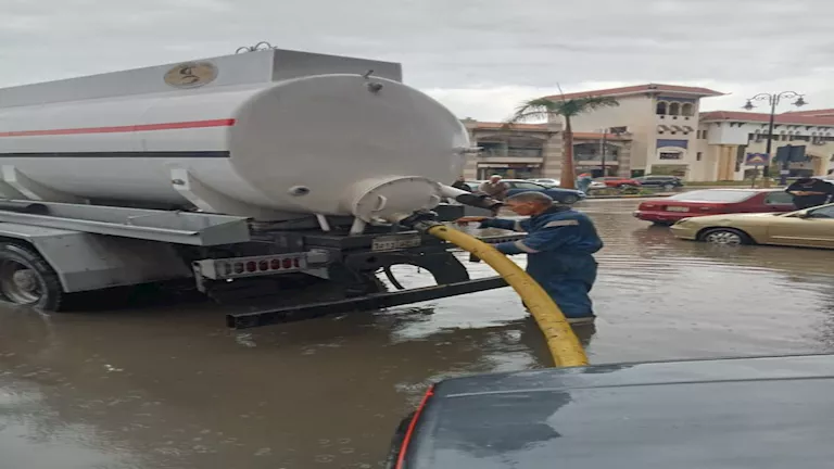 2025 12 14 13 52 23 8.webp