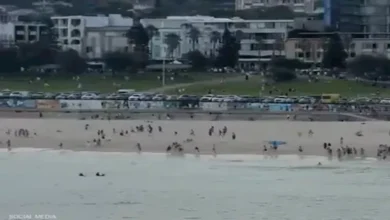 2025 12 14 14 41 0 63.webp