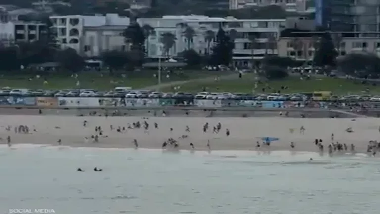 2025 12 14 14 41 0 63.webp