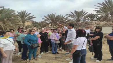 2025 12 14 16 53 16 883.webp