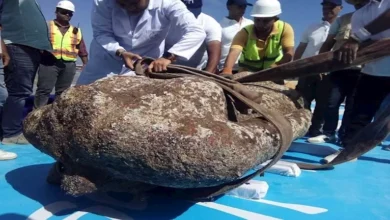 2025 12 14 22 22 48 864.webp