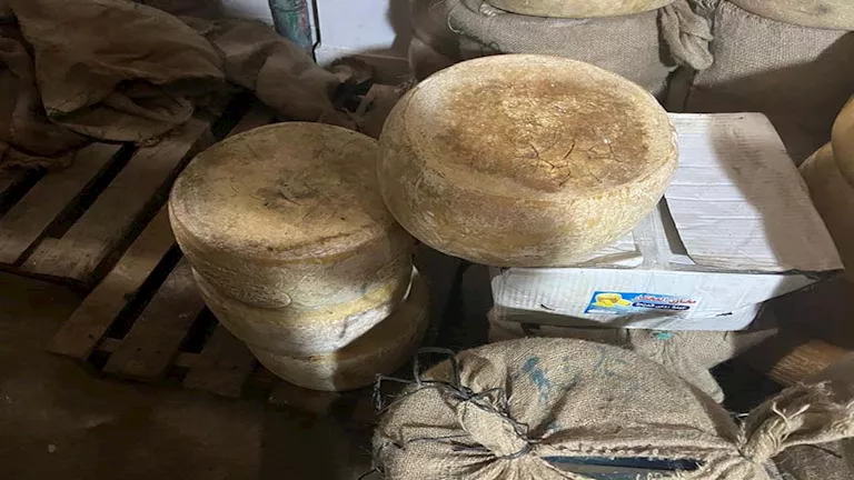 2025 12 15 21 26 44 845.webp