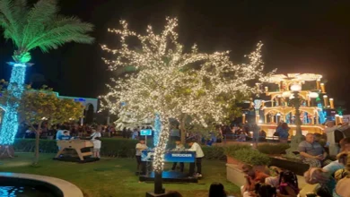 2025 12 16 12 42 57 274.webp