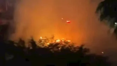 2025 12 17 0 35 56 581.webp