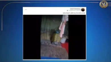 2025 12 17 14 40 0 762.webp