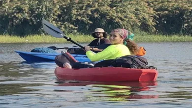 2025 12 17 16 1 22 348.webp