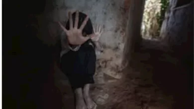 2025 12 17 21 44 36 639.webp