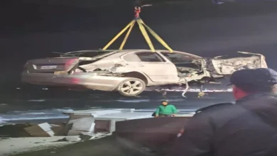 2025 12 17 8 23 43 593.webp