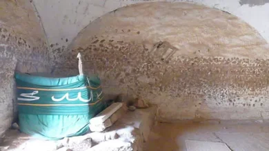 2025 12 18 11 47 56 980.webp