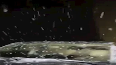 2025 12 18 23 15 25 967.webp