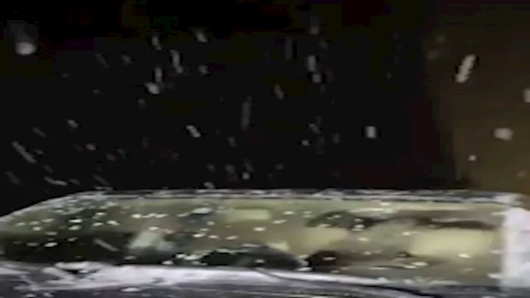 2025 12 18 23 15 25 967.webp