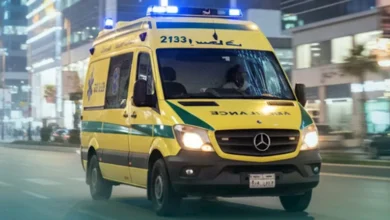 2025 12 20 0 21 53 500.webp