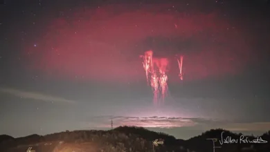 2025 12 20 13 33 22 159.webp