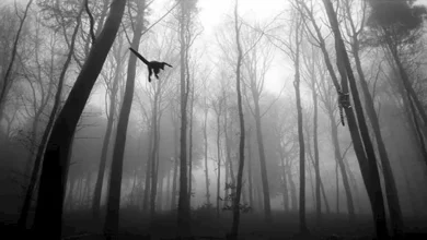 2025 12 20 15 16 34 691.webp