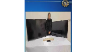 2025 12 20 15 7 55 9.webp