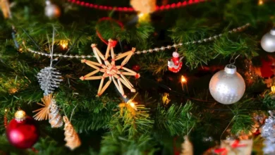 2025 12 21 16 53 30 844.webp