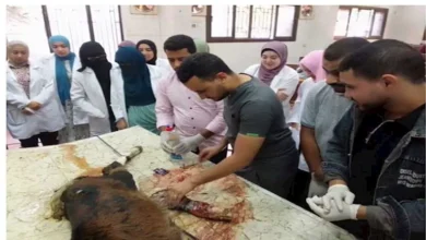 2025 12 21 21 10 36 714.webp