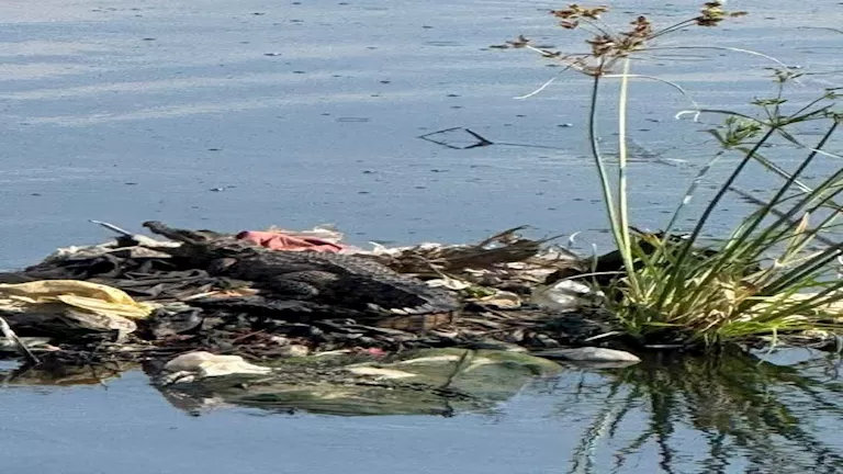 2025 12 22 12 47 38 573.webp