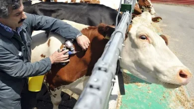 2025 12 22 13 53 22 766.webp