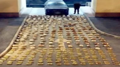 2025 12 23 11 21 2 725.webp