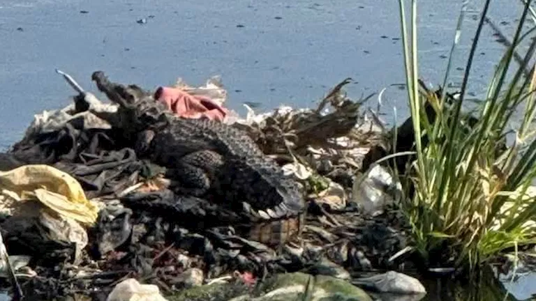 2025 12 23 14 37 36 354.webp