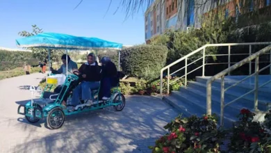 2025 12 24 11 47 30 436.webp