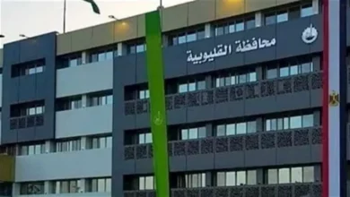 2025 12 24 14 6 52 925.webp