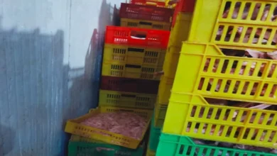 2025 12 24 16 33 40 698.webp