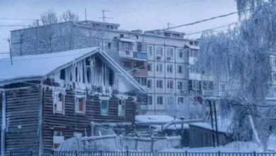 2025 12 24 16 8 23 752.webp