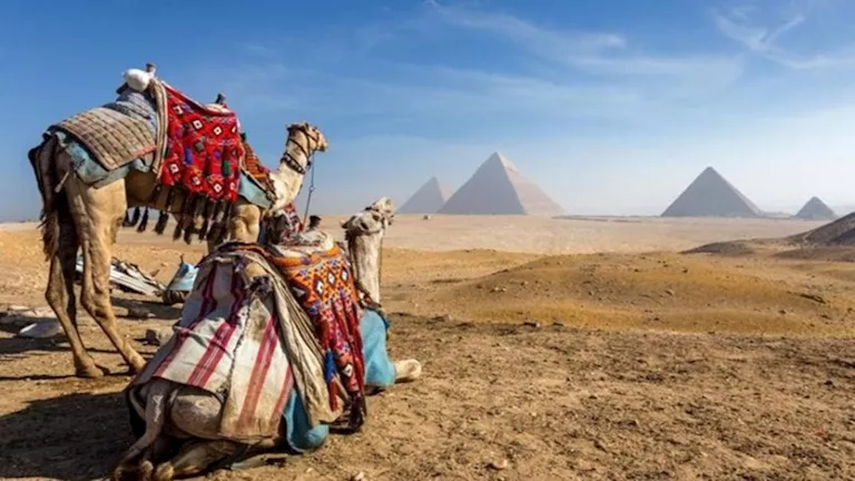 2025 12 24 17 55 13 254.webp