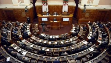 2025 12 24 19 41 23 261.webp