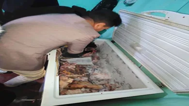 2025 12 25 13 58 36 55.webp