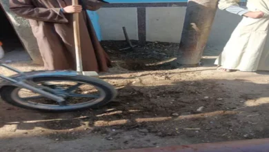 2025 12 25 23 14 48 980.webp