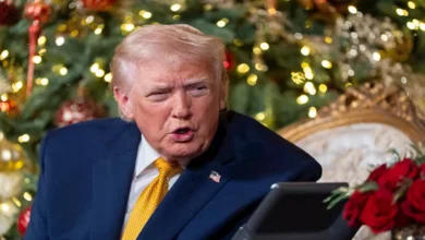 2025 12 25 3 8 1 929.webp