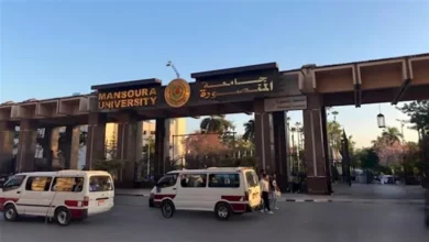 2025 12 26 0 4 33 596.webp