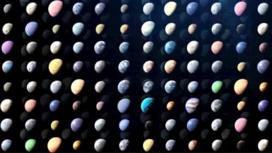 2025 12 27 13 51 15 334.webp