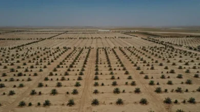 2025 12 27 23 35 2 428.webp