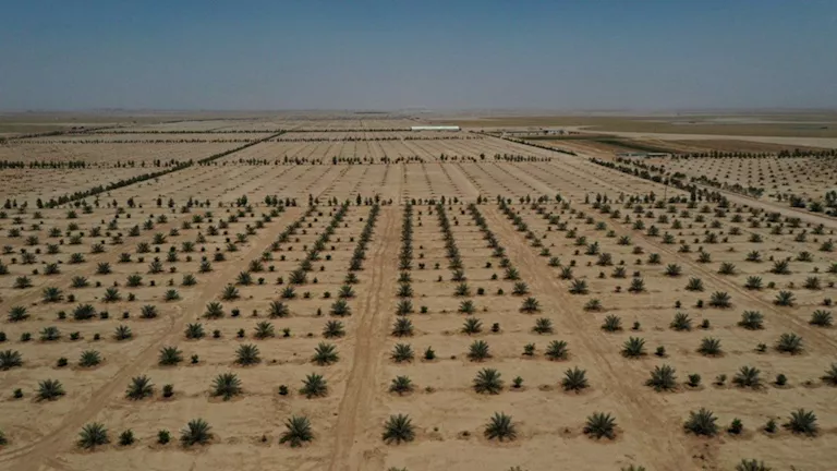 2025 12 27 23 35 2 428.webp