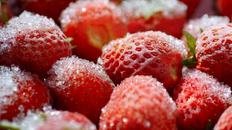 2025 12 28 11 55 4 835.webp